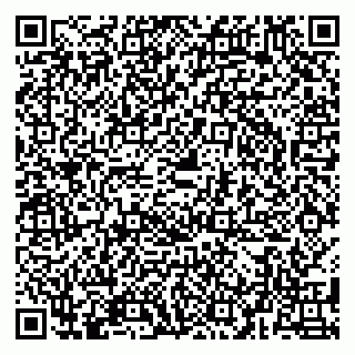 vCard 79580138407