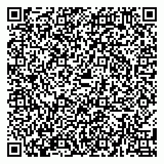 vCard 79580138410