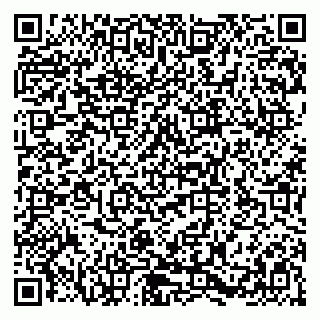 vCard 79580138411