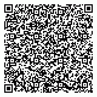 vCard 79580138413