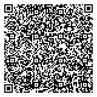 vCard 79580138453