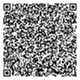 vCard 79580138473