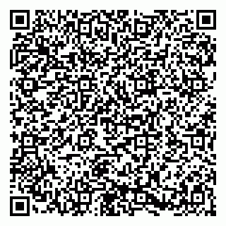 vCard 79580138501