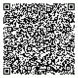 vCard 79580138527