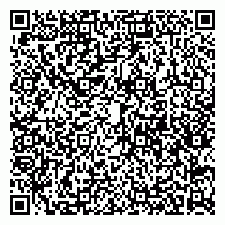 vCard 79580138535