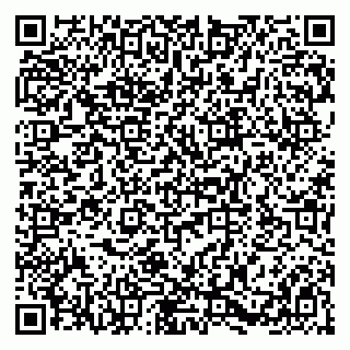 vCard 79580138613
