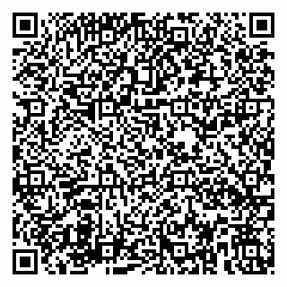 vCard 79580138617