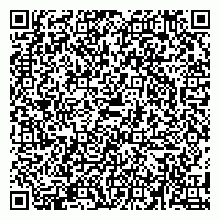 vCard 79580138631