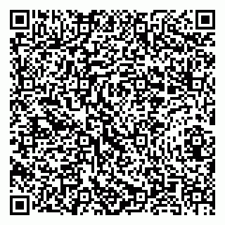 vCard 79580138633