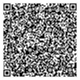 vCard 79580138681