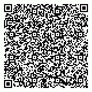 vCard 79580138701