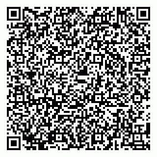 vCard 79580138703