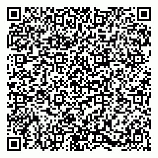 vCard 79580138706