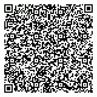 vCard 79580138707