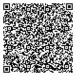 vCard 79580138710