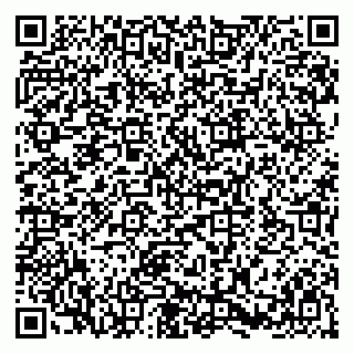 vCard 79580138727