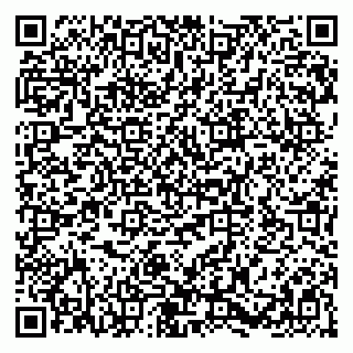 vCard 79580138731
