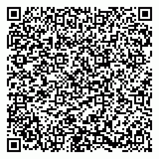 vCard 79580138811