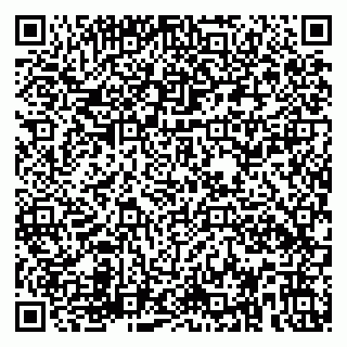 vCard 79580138813