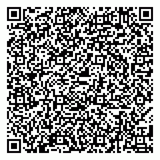 vCard 79580138821