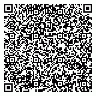 vCard 79580138825