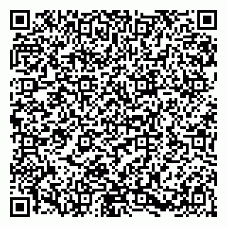 vCard 79580138828