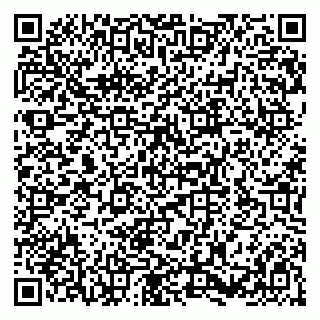 vCard 79580138833