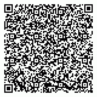 vCard 79580138839