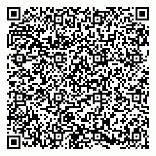 vCard 79580138861
