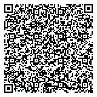 vCard 79580138870