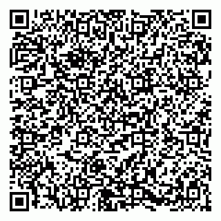 vCard 79580138871