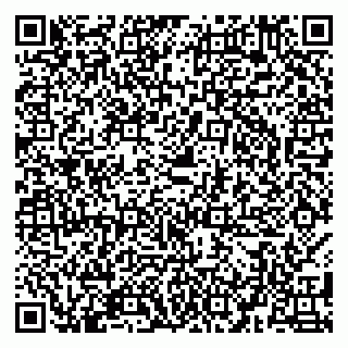vCard 79580138881