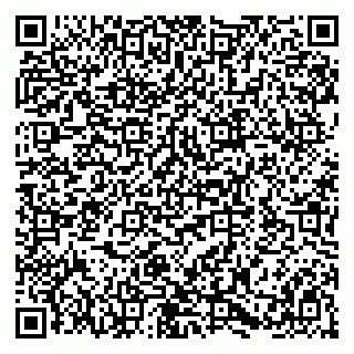 vCard 79580138883