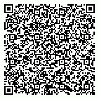 vCard 79580138893