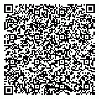 vCard 79580138895