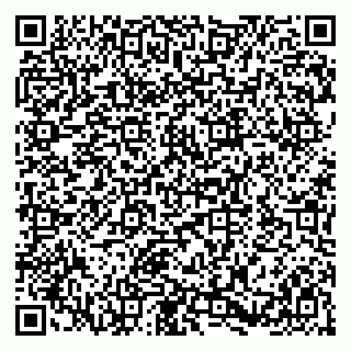 vCard 79580138917