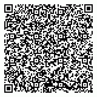 vCard 79580138931