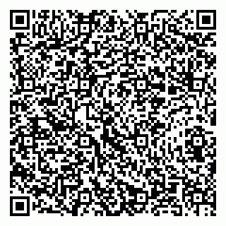 vCard 79580138971