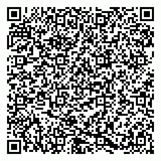 vCard 79580138981
