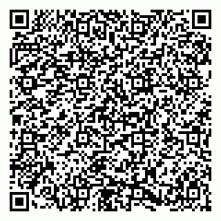 vCard 79580138987