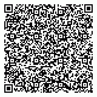 vCard 79580138989
