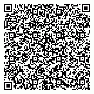 vCard 79580138993