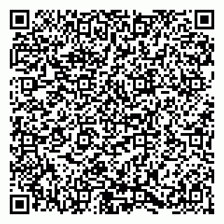 vCard 79580138994