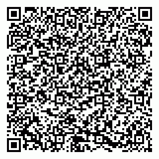 vCard 79580139007