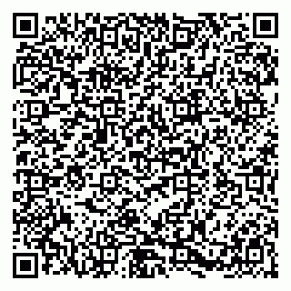 vCard 79580139009