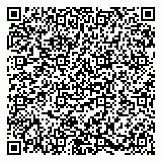 vCard 79580139029