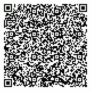 vCard 79580139031