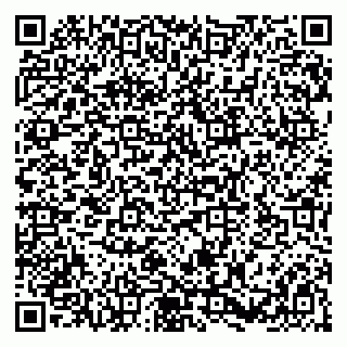 vCard 79580139033