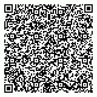 vCard 79580139037