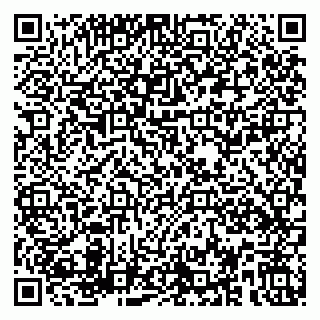vCard 79580139075